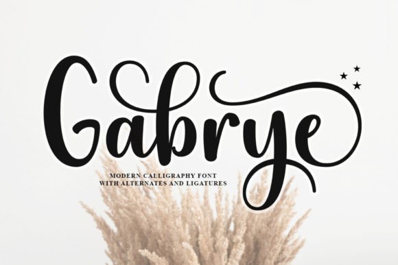 Gabrye: A Handwritten Font That Brings Warmth and Personality to Campaign Design