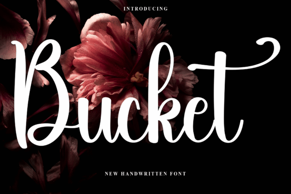 How Bucket Font Transformed My Campaign Visuals with Style and Clarity